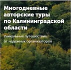 ТУРЫ КАЛИНИНГРАДСКОЙ ОБЛАСТИ